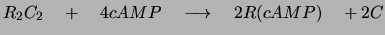 $R_2C_2 \quad + \quad 4 cAMP \quad \longrightarrow \quad 2 R(cAMP)
\quad + 2 C$